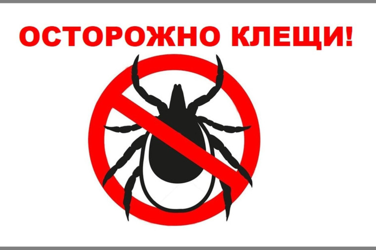 Памятка по профилактике инфекций, передающих клещами.
